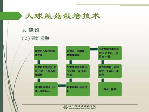 党建引领谋发展 科技助农备春耕 大球盖菇栽培技术网络课堂推动农业现代化