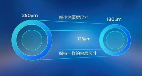 长飞展示新型单模光纤，助力5G网络建设与技术创新